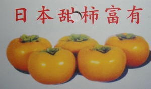 日本甜柿富有